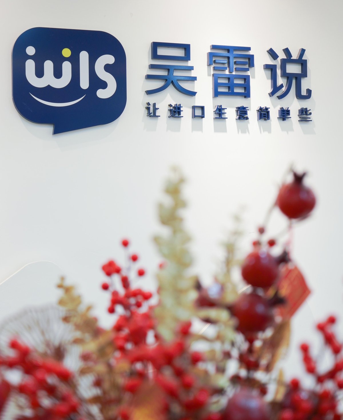 WLS Office Logo Wall